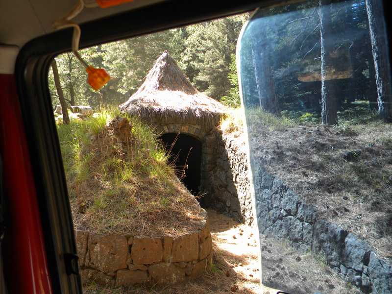 DSCN5355.jpg