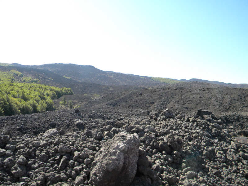 DSCN5357.jpg