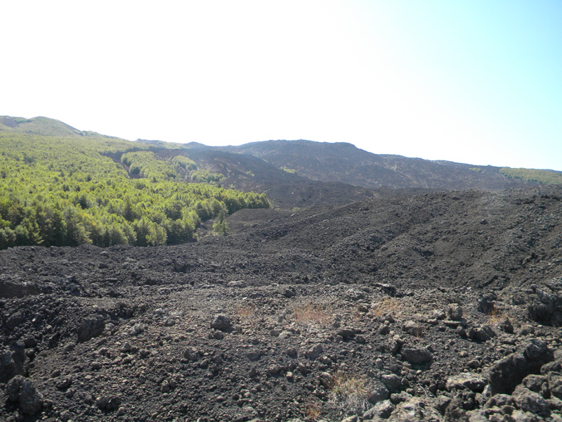 DSCN5358.jpg