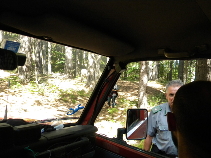 DSCN5369.jpg