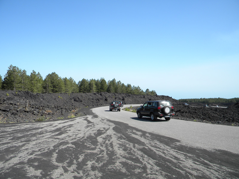 DSCN5373.jpg