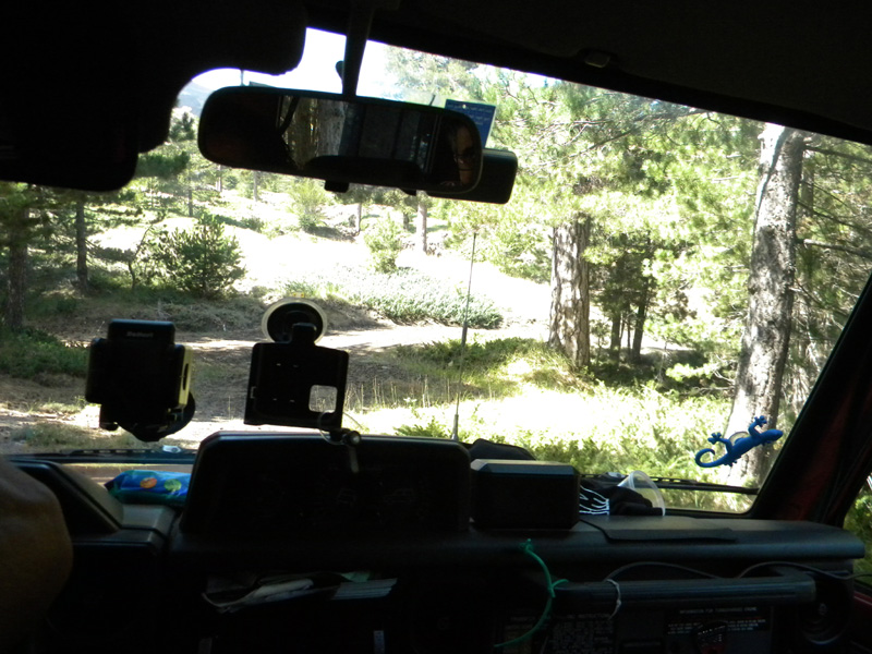 DSCN5378.jpg
