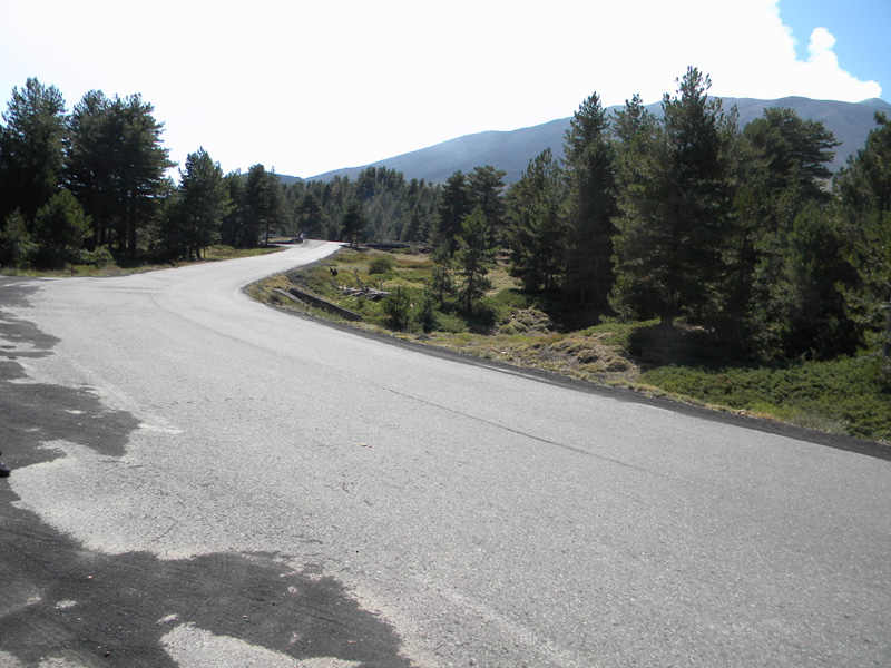 DSCN5381.jpg