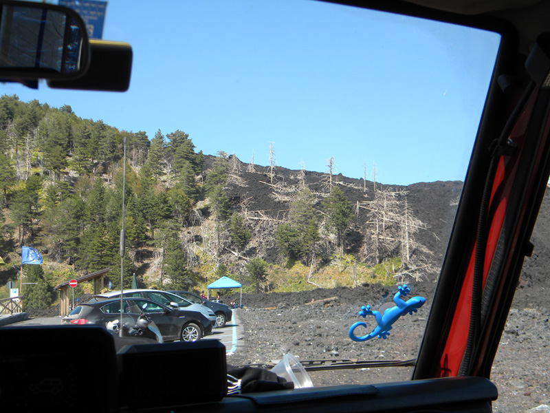 DSCN5384.jpg