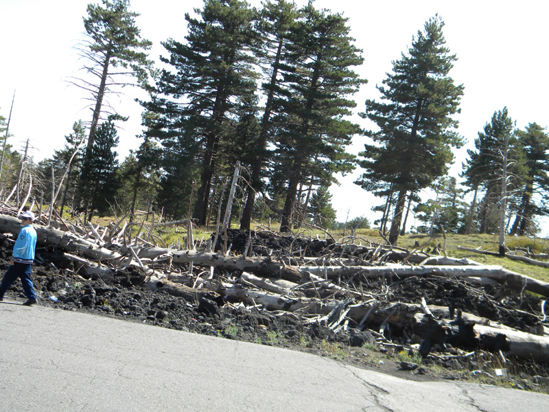 DSCN5385.jpg