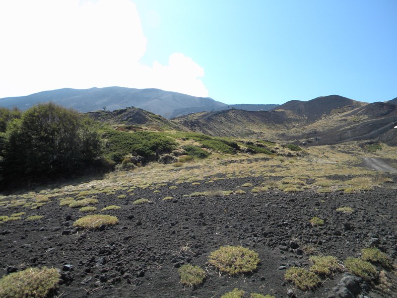 DSCN5390.jpg