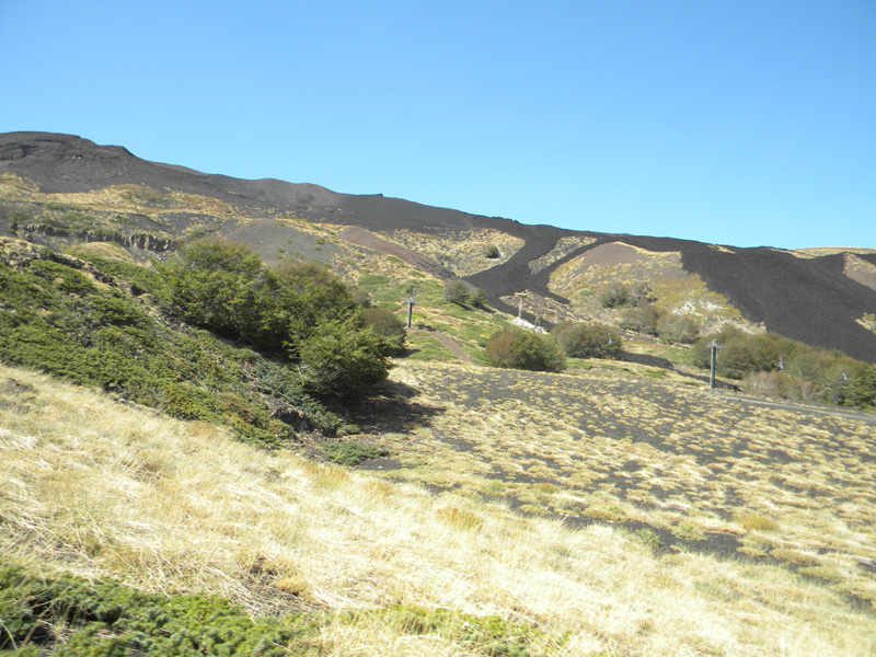 DSCN5392.jpg