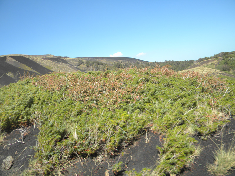 DSCN5393.jpg