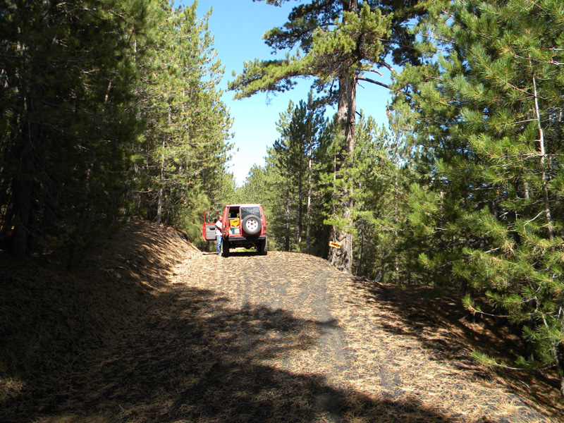 DSCN5400.jpg