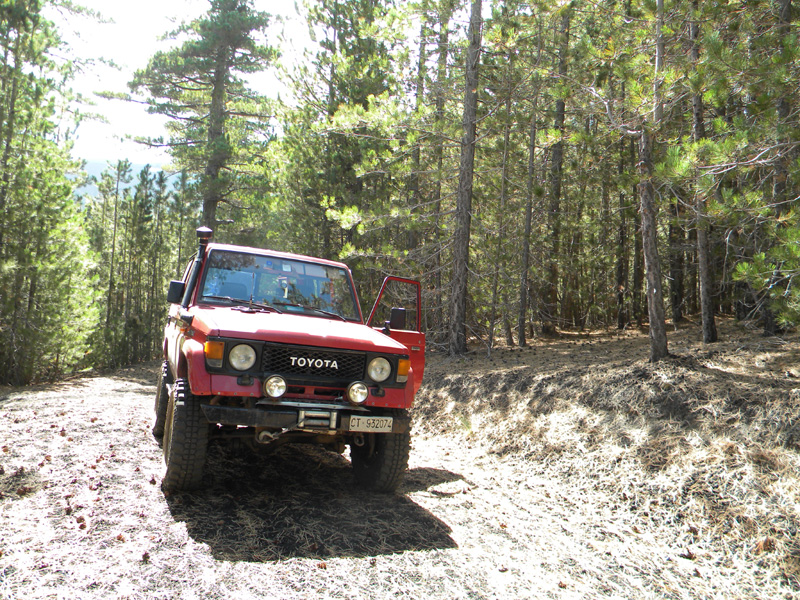 DSCN5404.jpg