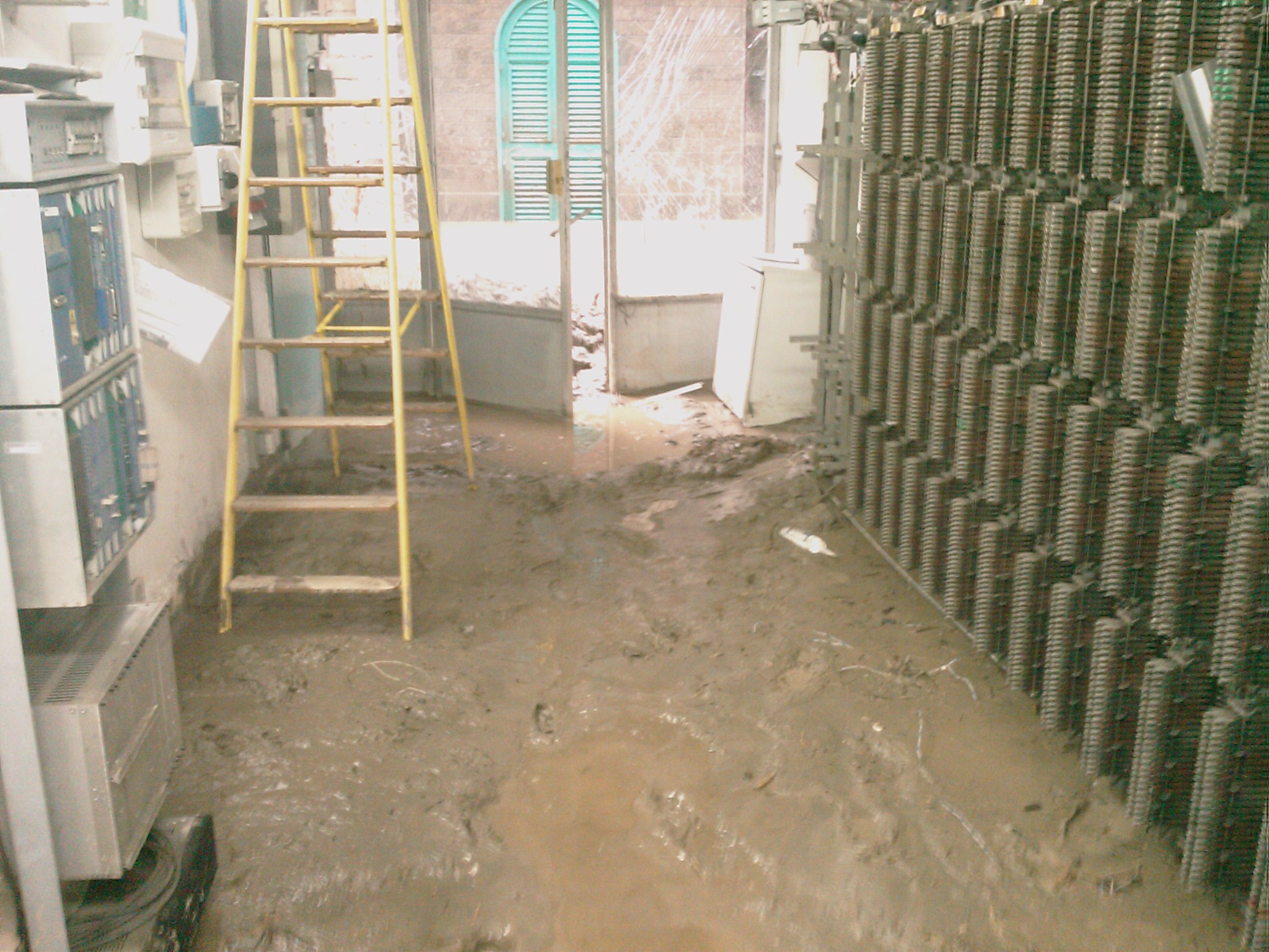 IMAG0787.jpg