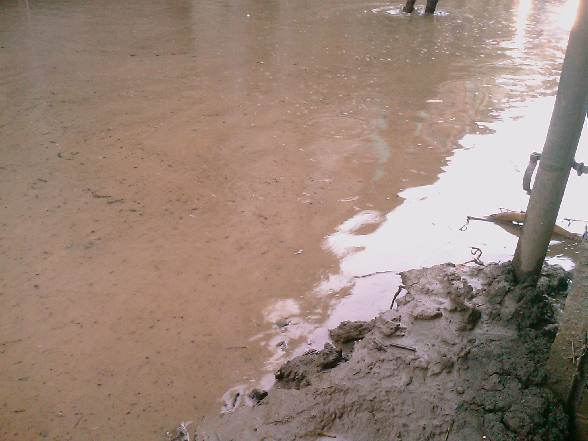 IMAG0799.jpg