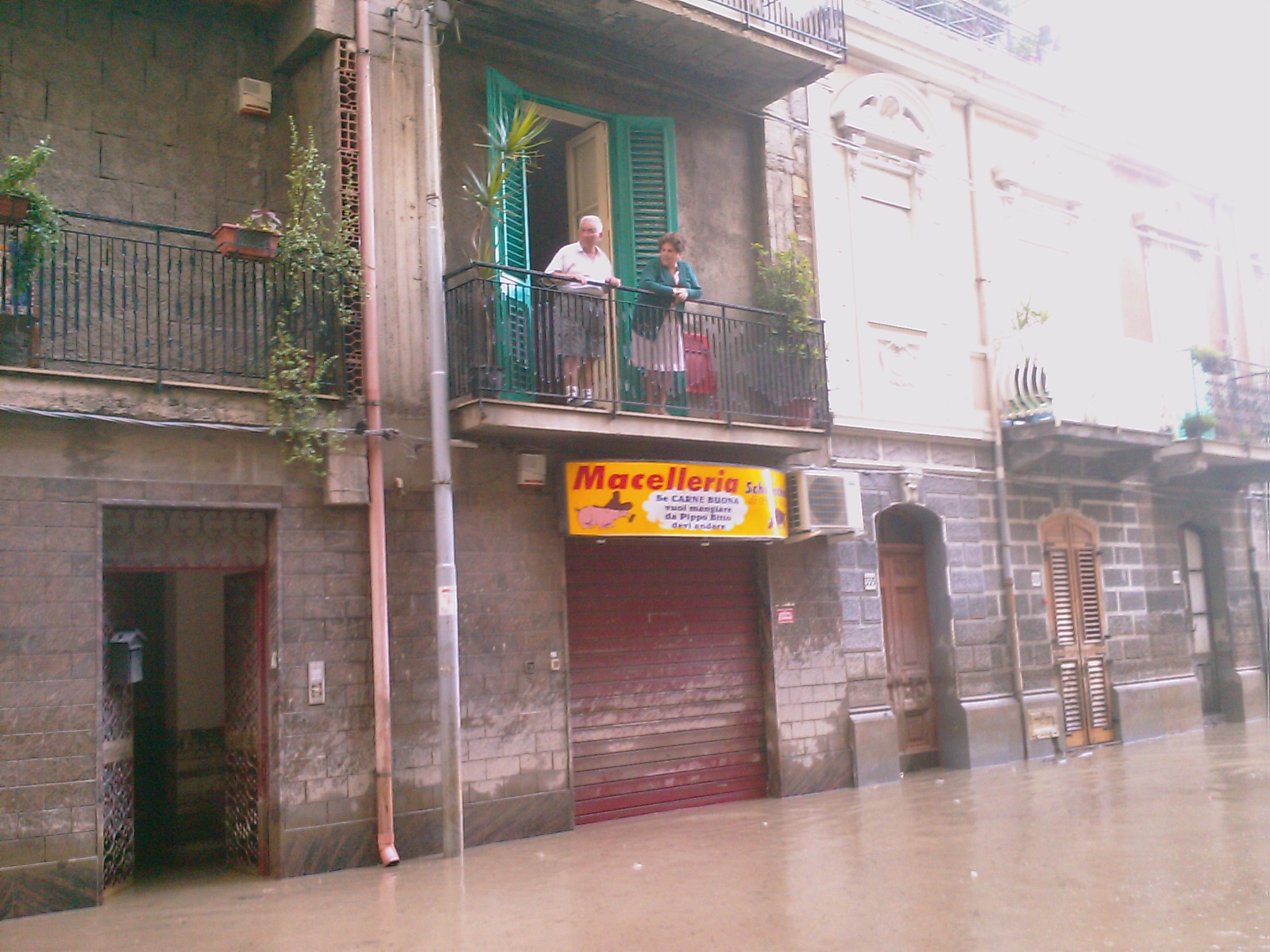 IMAG0800.jpg