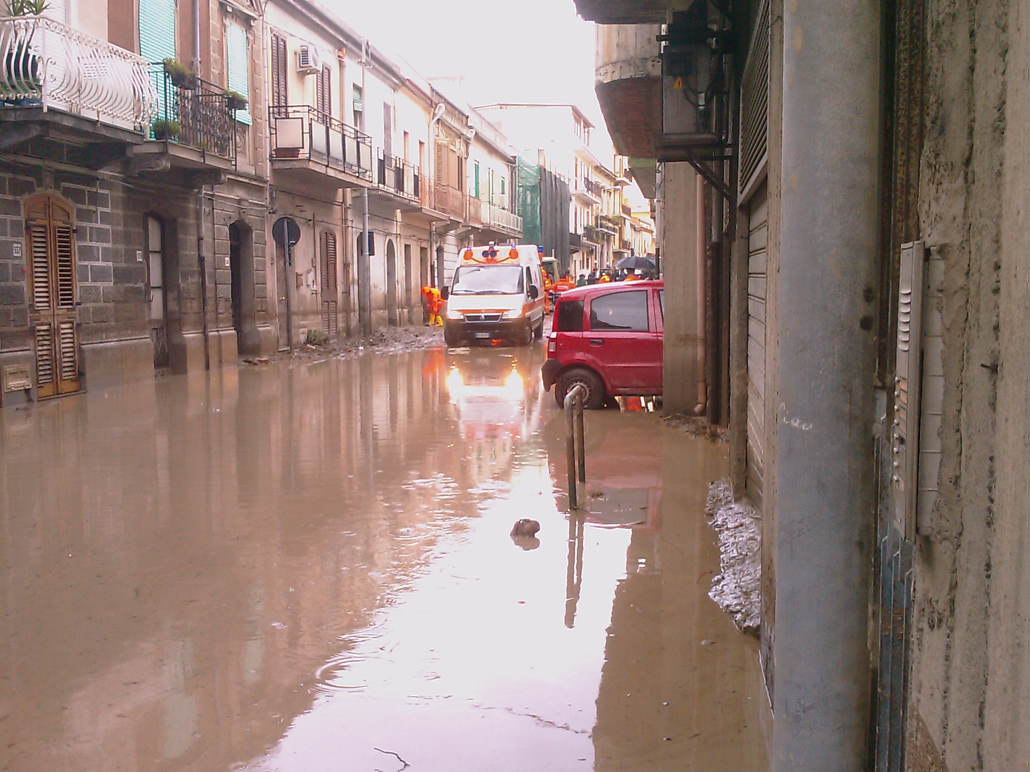 IMAG0804.jpg