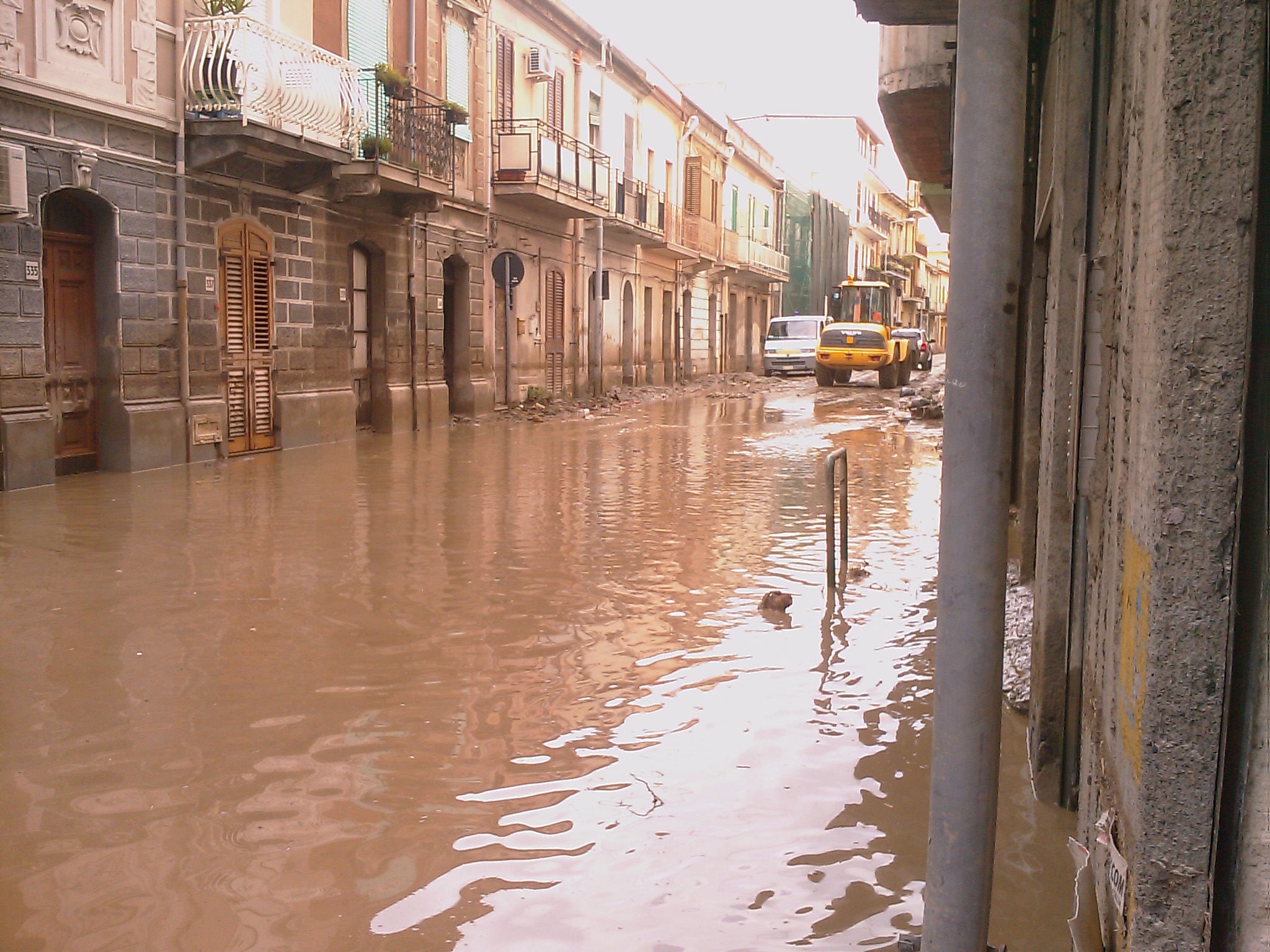 IMAG0817.jpg