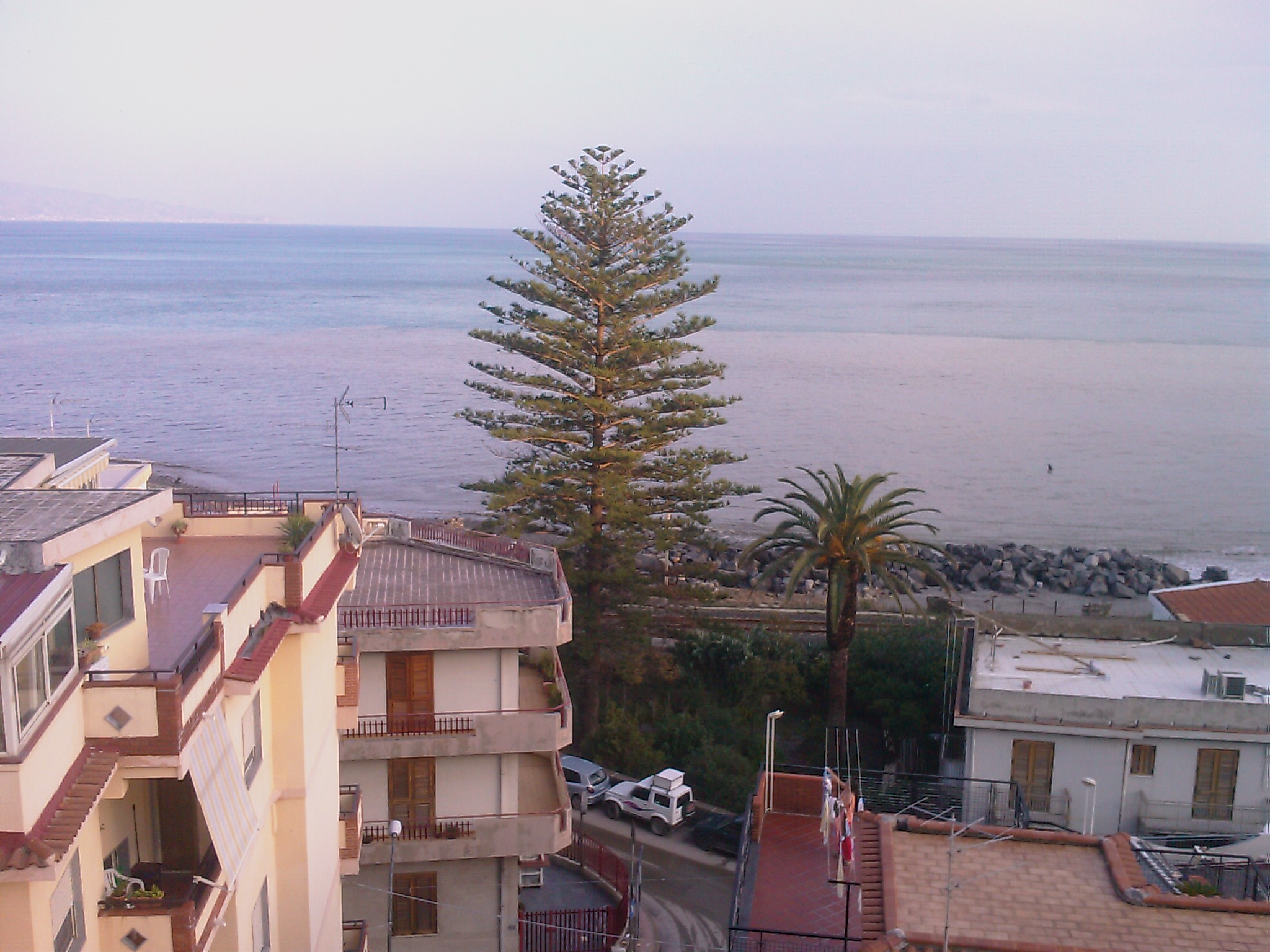 IMAG0847.jpg