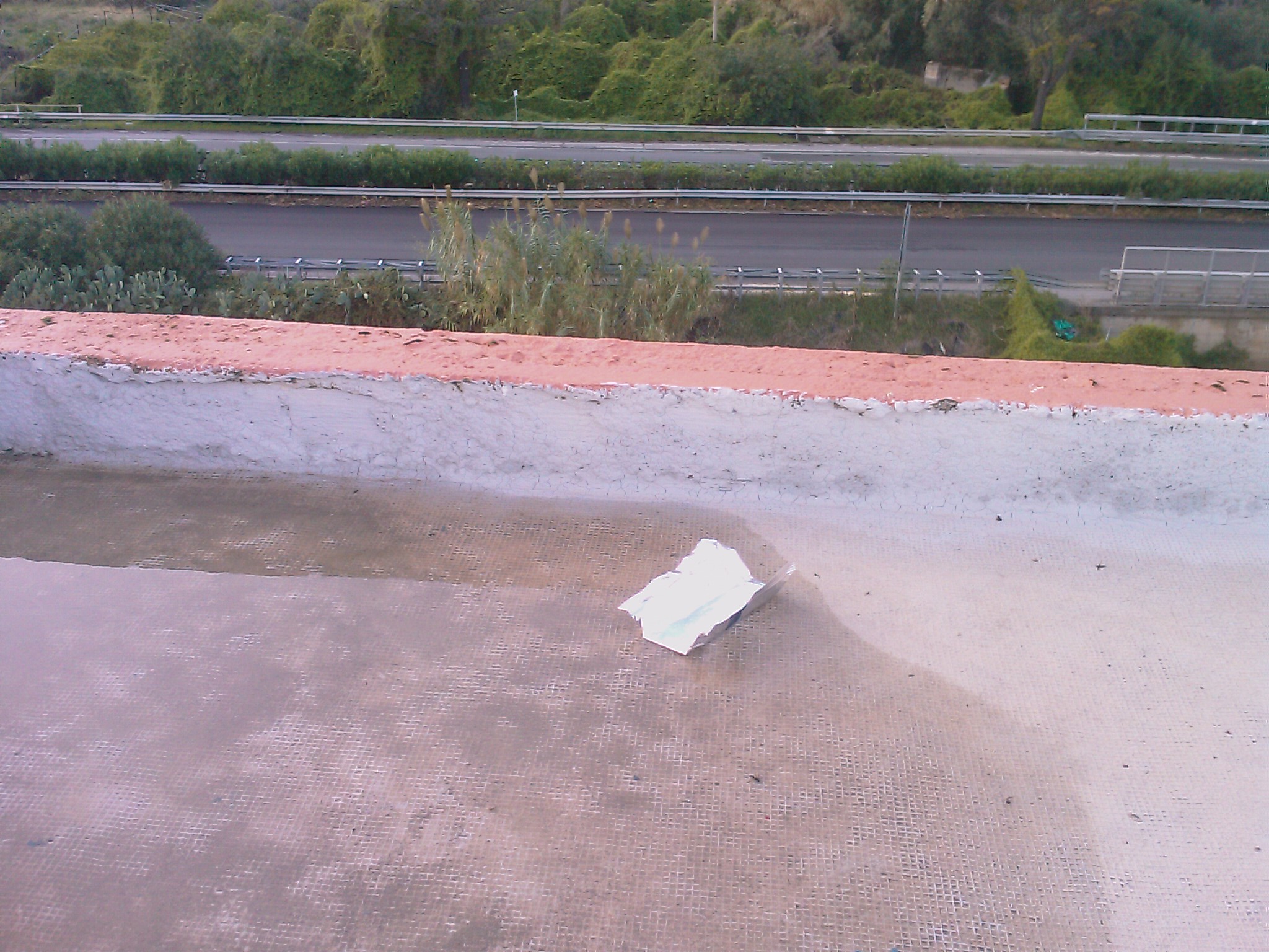 IMAG0853.jpg