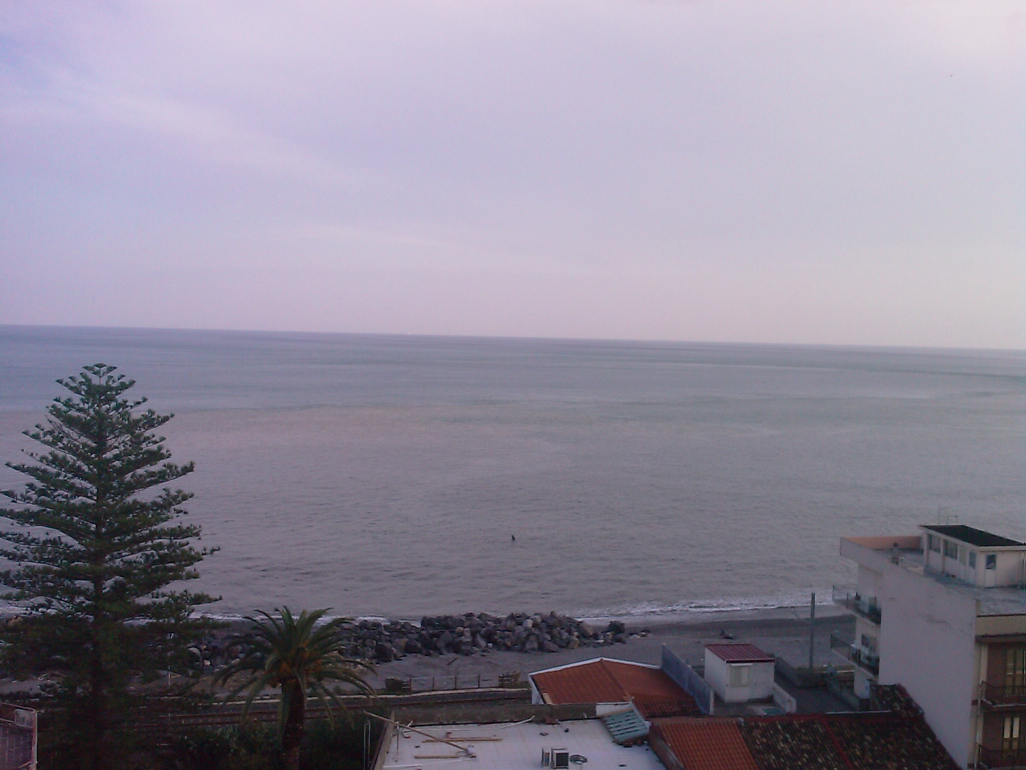 IMAG0855.jpg