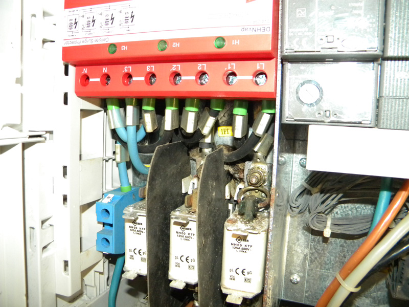 06.jpg