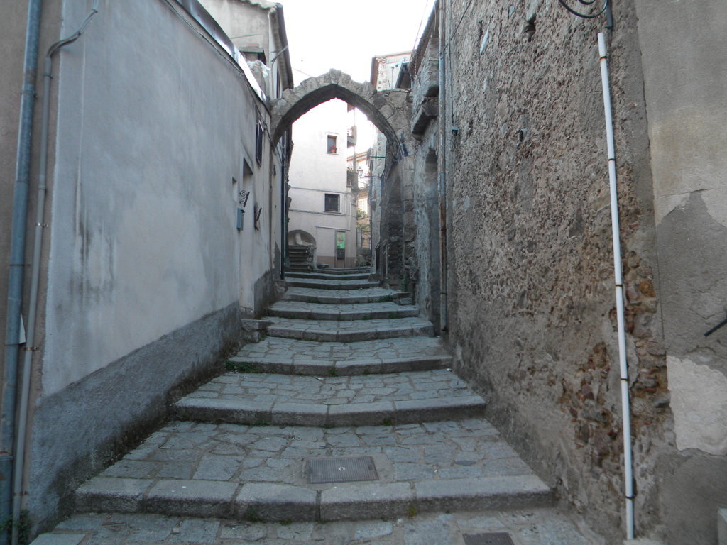 56.jpg