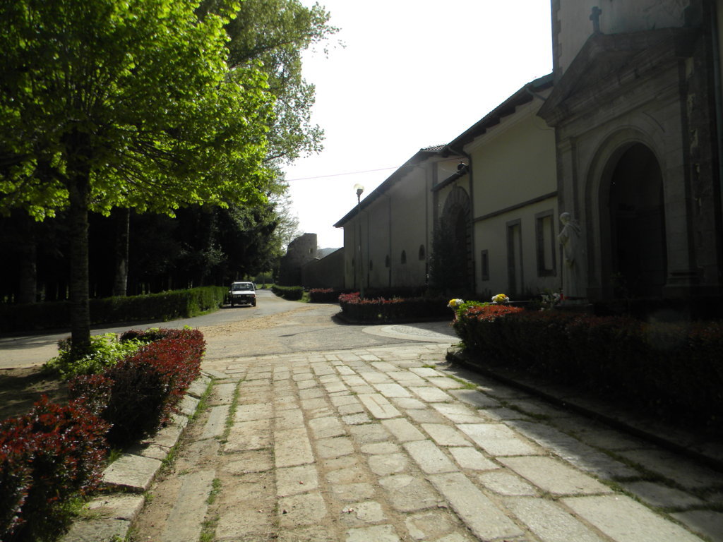 86.jpg