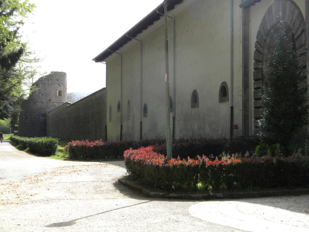 87.jpg