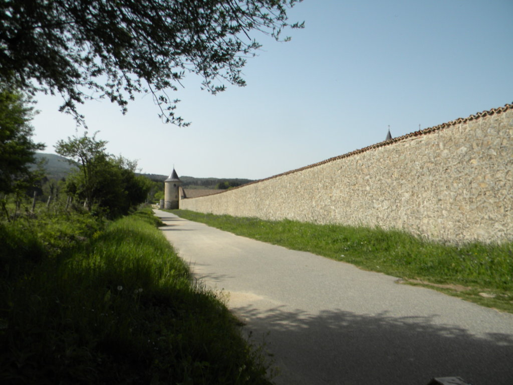 90.jpg
