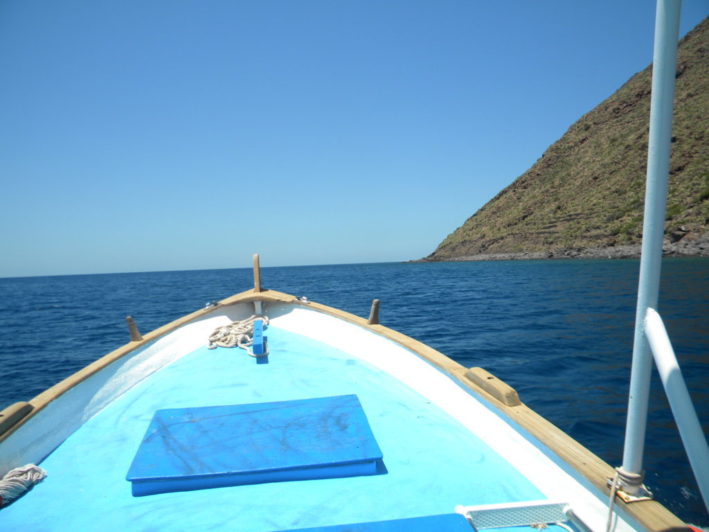 15.JPG