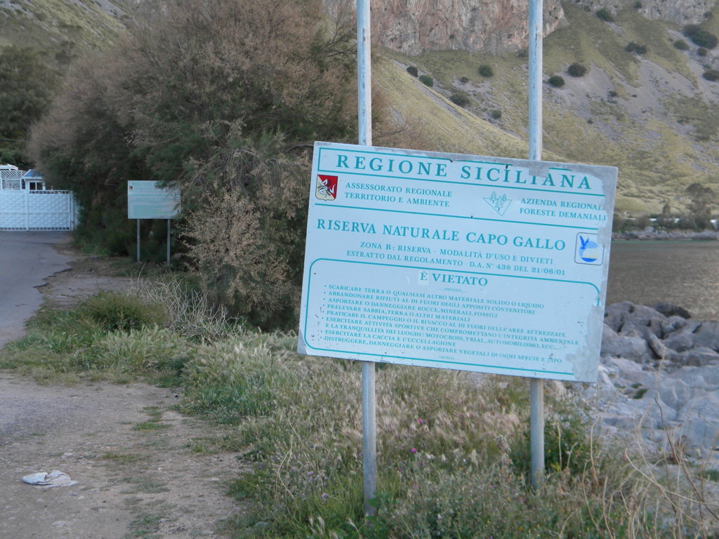 05.JPG