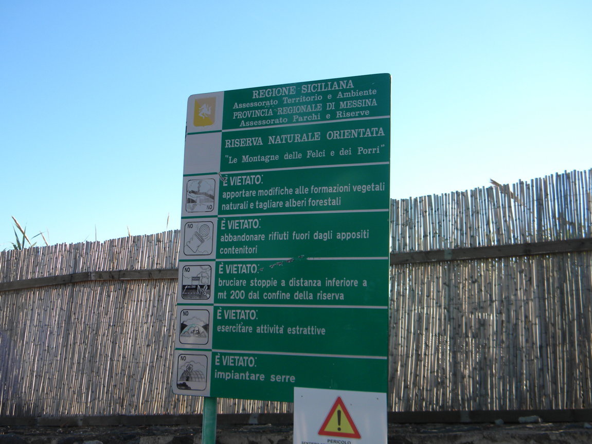 07.JPG