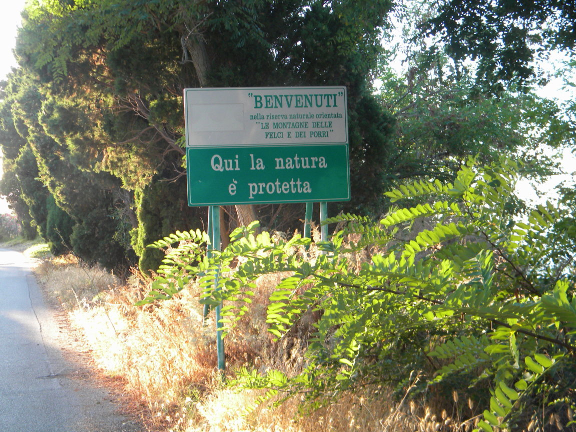 825.JPG