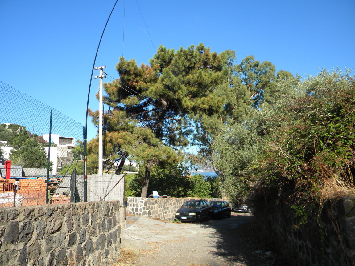 890.JPG