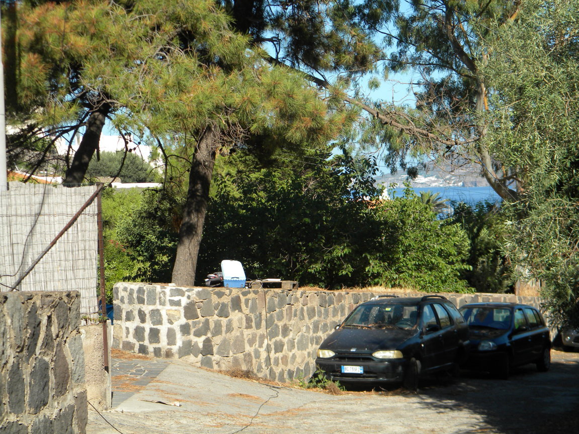 895.JPG