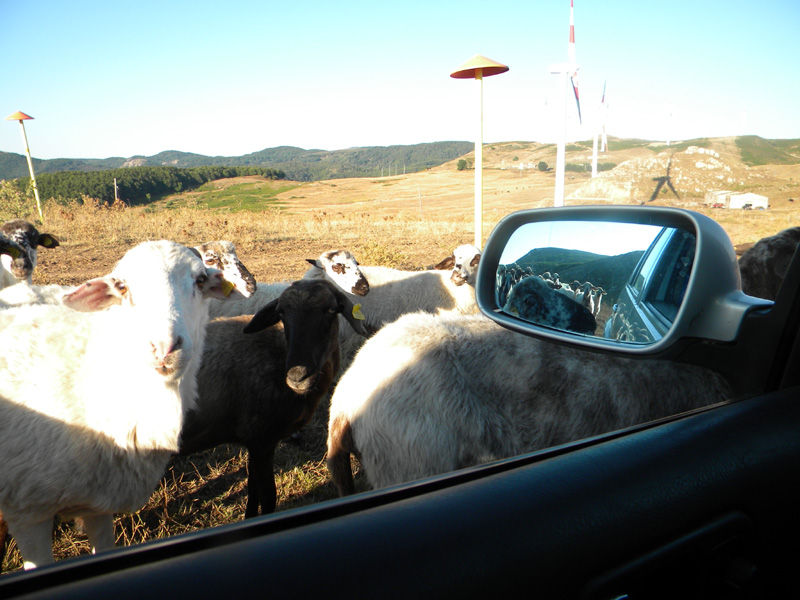 DSCN7012.jpg
