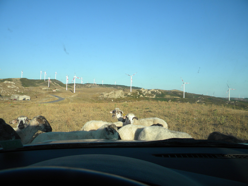 DSCN7013.jpg