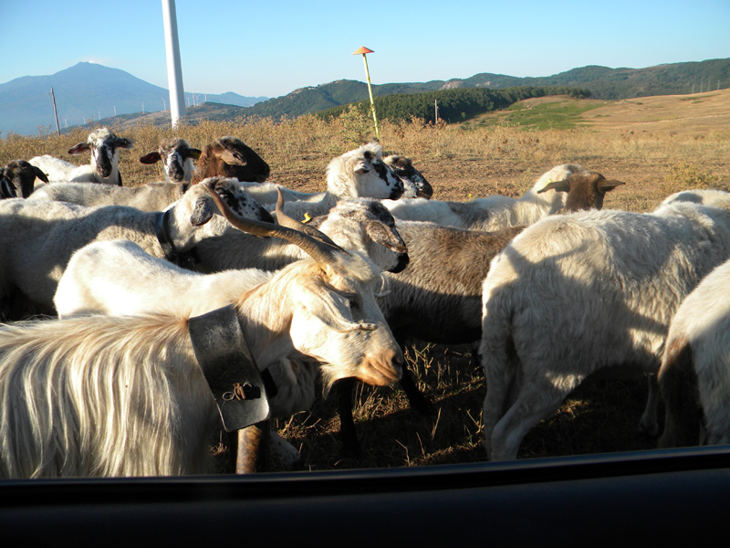 DSCN7014.jpg