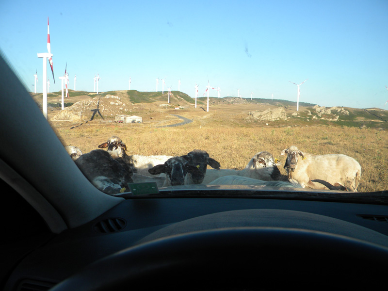 DSCN7016.jpg