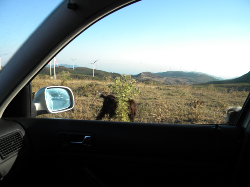 DSCN7017.jpg