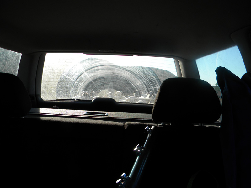 DSCN7020.jpg