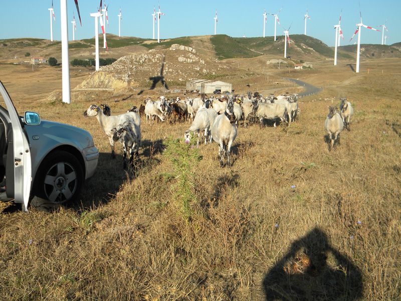 DSCN7027.jpg