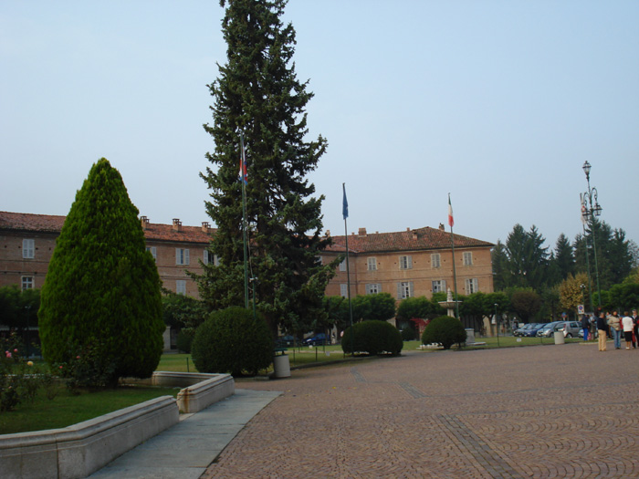 DSC00347.jpg