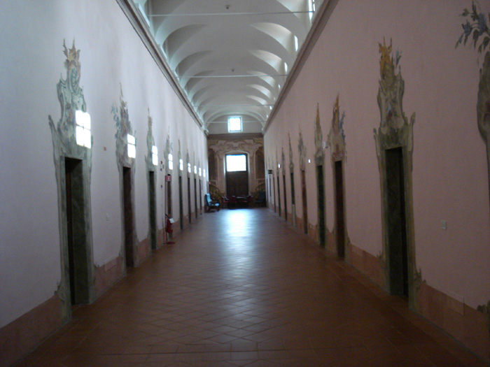 DSC00380.jpg