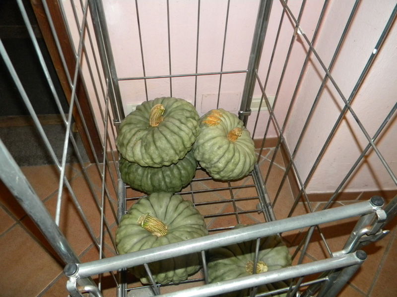 DSCN5135.jpg
