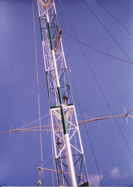 01.jpg