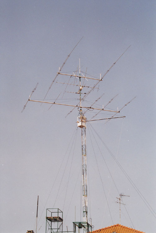 06.jpg