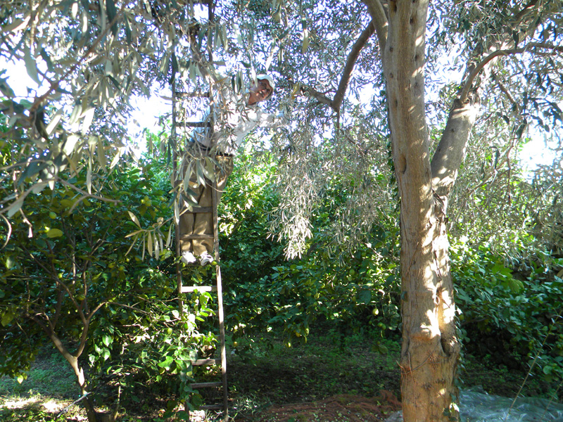 06.jpg