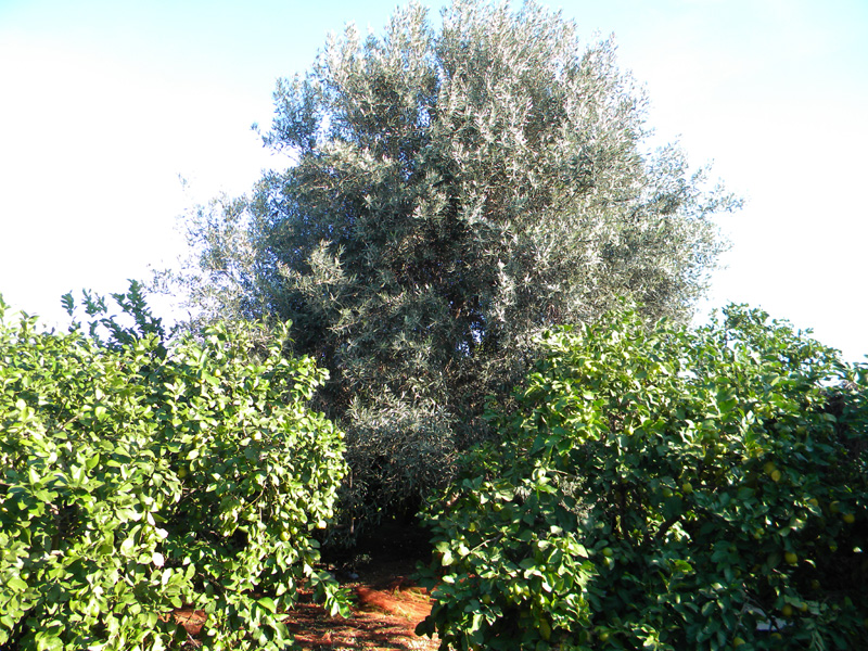 09.jpg