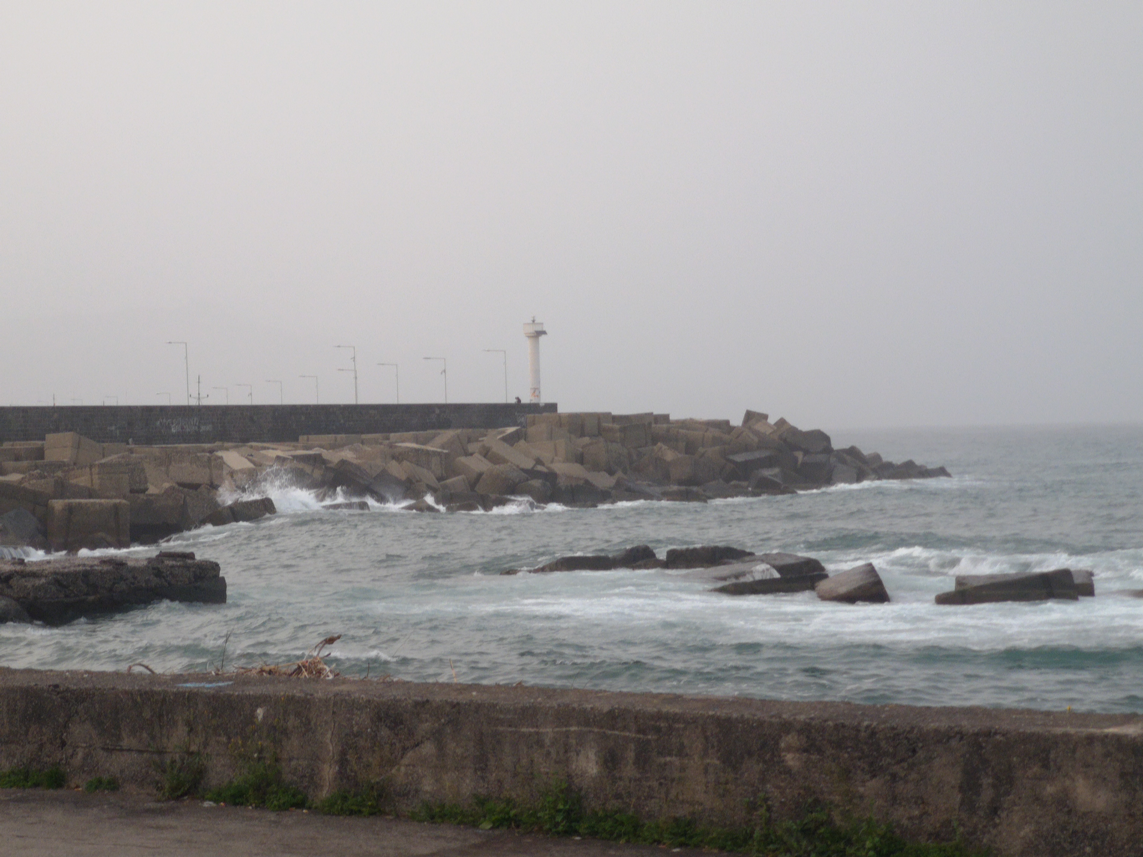 SI003_02.jpg