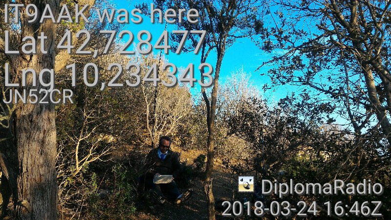 3.jpeg